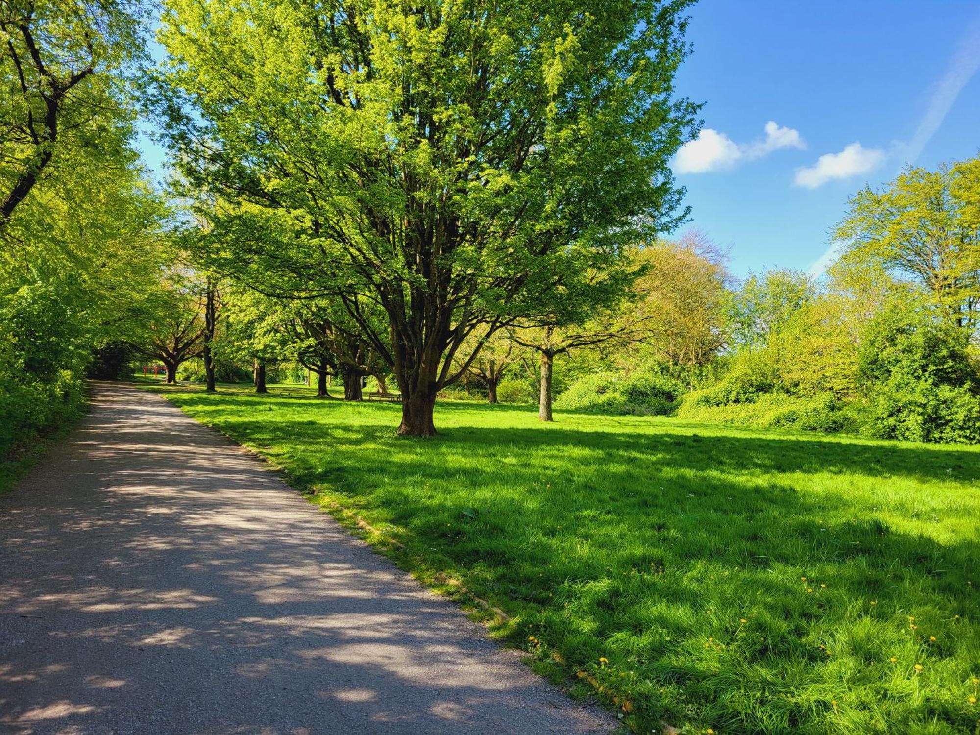 Ferienwohnungen Am Park Wilhelmshaven Dış mekan fotoğraf