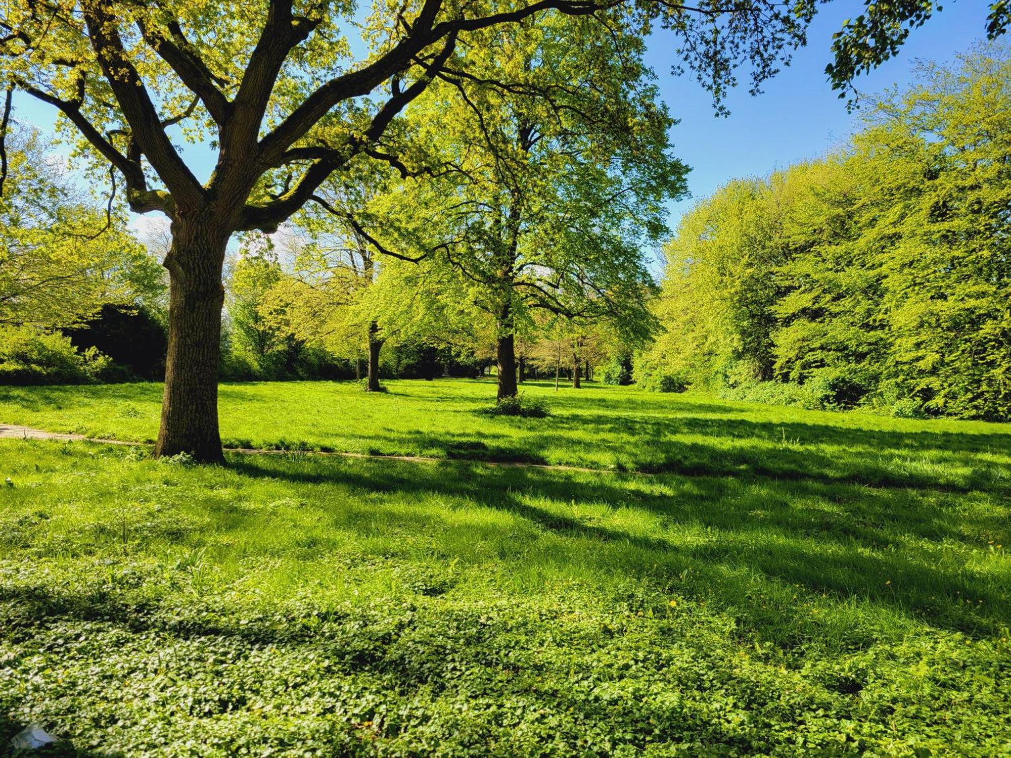 Ferienwohnungen Am Park Wilhelmshaven Dış mekan fotoğraf